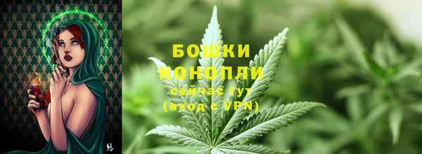 винт Инта
