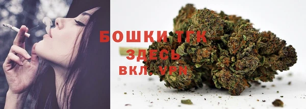 винт Инта