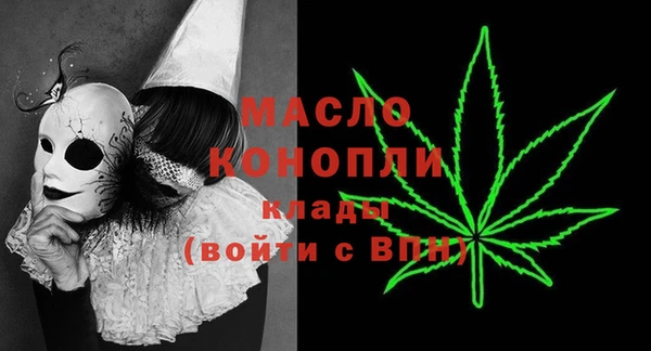 винт Инта