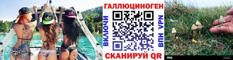 OMG рабочий сайт  Дятьково  Псилоцибиновые грибы Psilocybe 