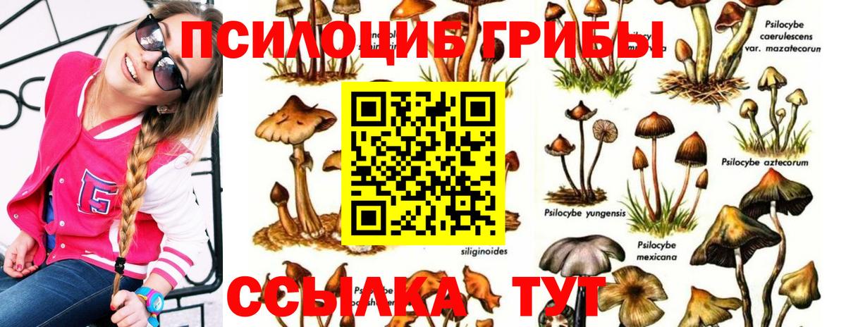 Галлюциногенные грибы мухоморы Дятьково