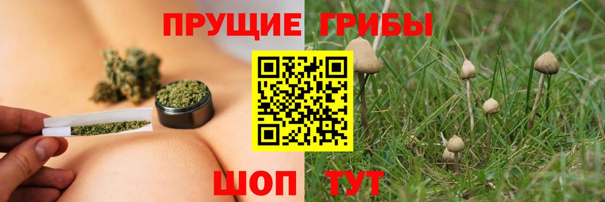 Псилоцибиновые грибы ЛСД  Вход с VPN  Дятьково 